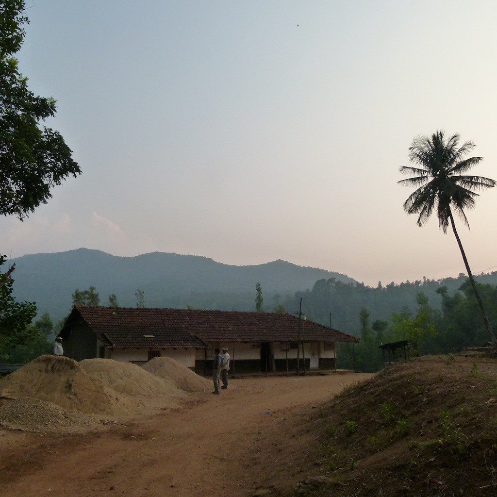 plantación de café con casa rural